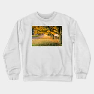 Fall Lane 1 Crewneck Sweatshirt